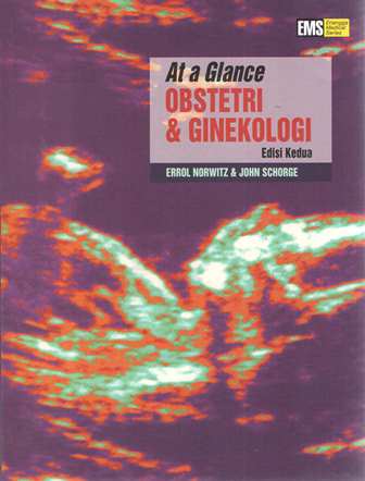 At a Glance Obstetri Dan Ginekologi Edisi Kedua (TA 2022)