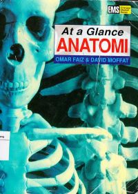 At a Glance Anatomi 