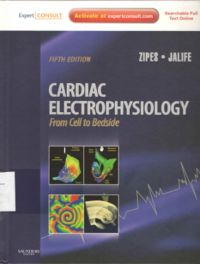 Cardiac Electrophysiology 