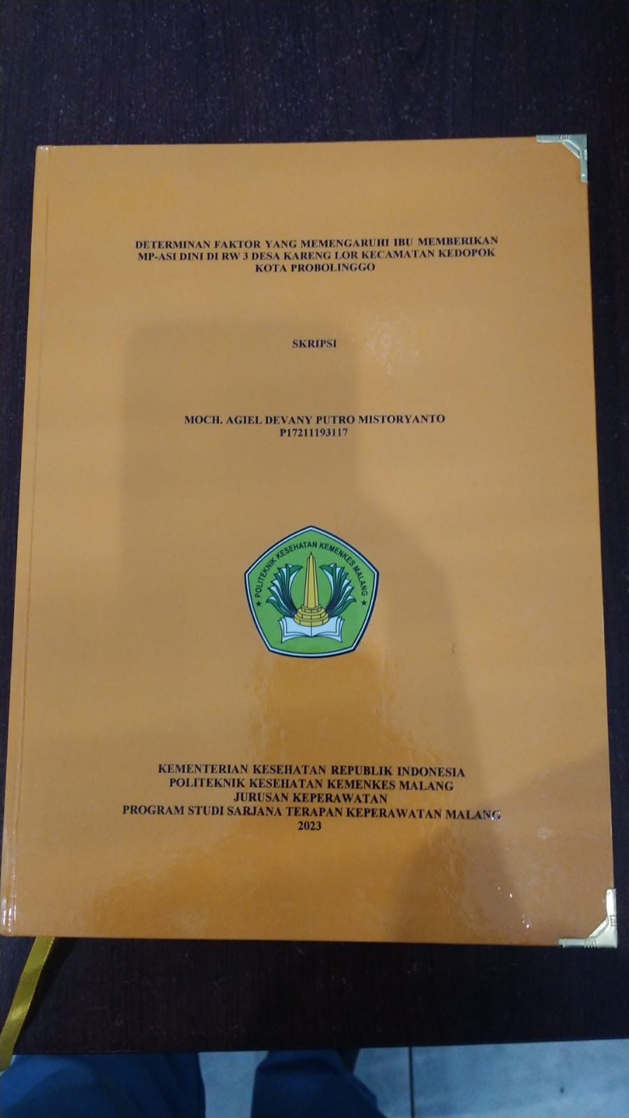 DETERMINAN FAKTOR YANG MEMENGARUHI IBU MEMBERIKAN MP-ASI DINI DI RW 3 DESA KARENG LOR KECAMATAN KEDOPOK KOTA PROBOLINGGO