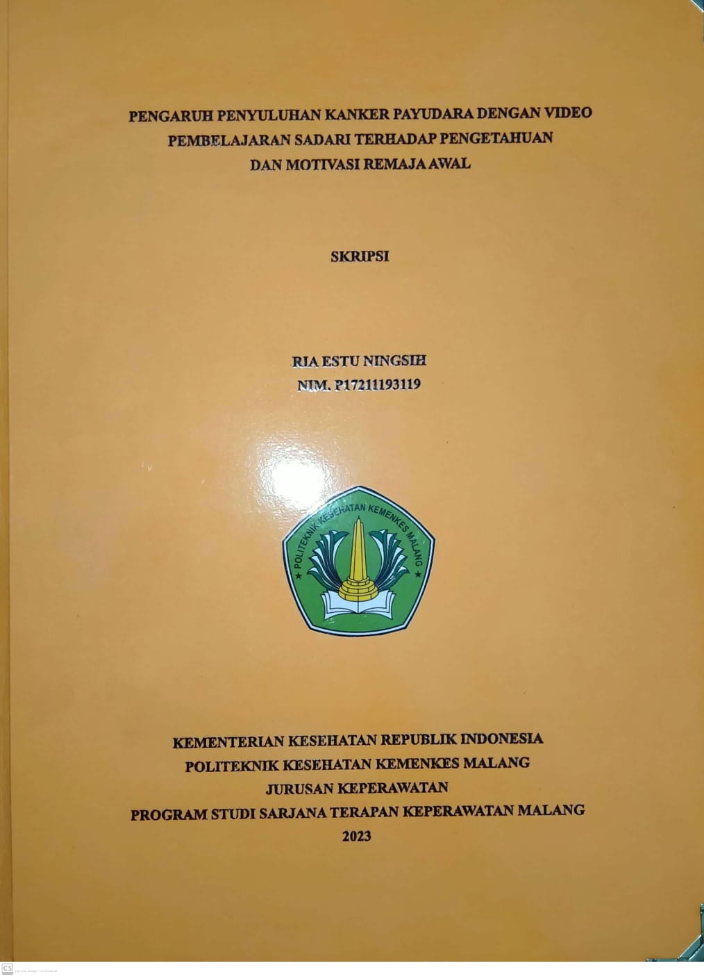 PENGARUH PENYULUHAN KANKER PAYUDARA DENGAN VIDEO PEMBELAJARAN SADARI TERHADAP PENGETAHUAN DAN MOTIVASI REMAJA AWAL