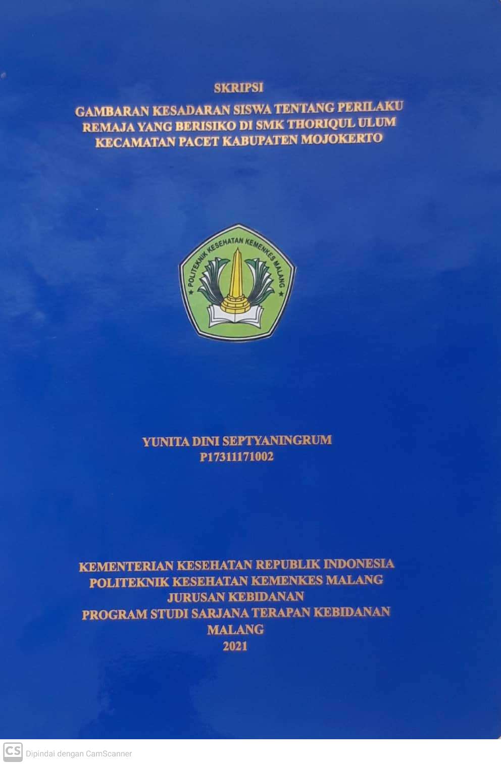 GAMBARAN KESADARAN SISWA TENTANG PERILAKU REMAJA YANG BERISIKO DI SMK THORIQUL ULUM KECAMATAN PACET KABUPATEN MOJOKERTO