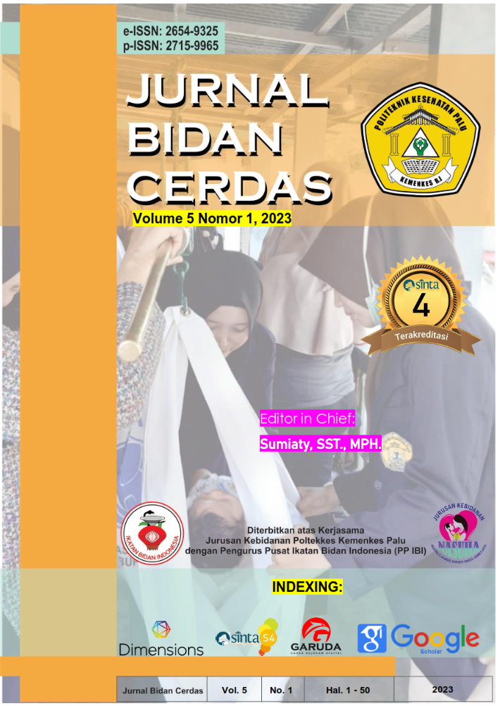 Jurnal Bidan Cerdas