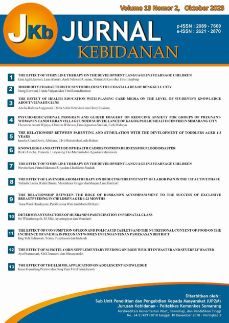 JURNAL KEBIDANAN (JKb)